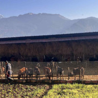 जुम्लाको दुर्गा मावि लाम्राको एसईई परीक्षा केन्द्रका केन्द्राध्यक्ष र निरीक्षक निष्कासित