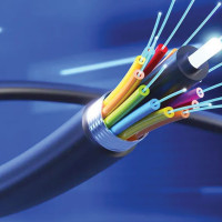 थानसिङमा बकुल्ला चरा