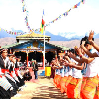 ट्रङ्कलाइन महसुल विवाद,  छुट्टै आयोग बनाउन माग