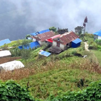 राष्ट्रिय सभा निर्वाचन : ९५.६८ प्रतिशत मतदान