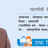 ट्रङ्कलाइन महसुल विवाद,  छुट्टै आयोग बनाउन माग