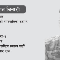 ट्रङ्कलाइन महसुल विवाद,  छुट्टै आयोग बनाउन माग