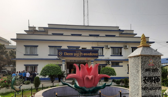 पलातामा जिप दुर्घटना : छ जनाको मृत्यु, १३ घाइते