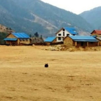 ग्वार्को ‘ओभरपास’ का   ठेकेदारलाई जरिबाना सुरु