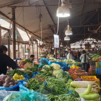 तीन प्रदेशका केही  स्थानमा हल्का वर्षा