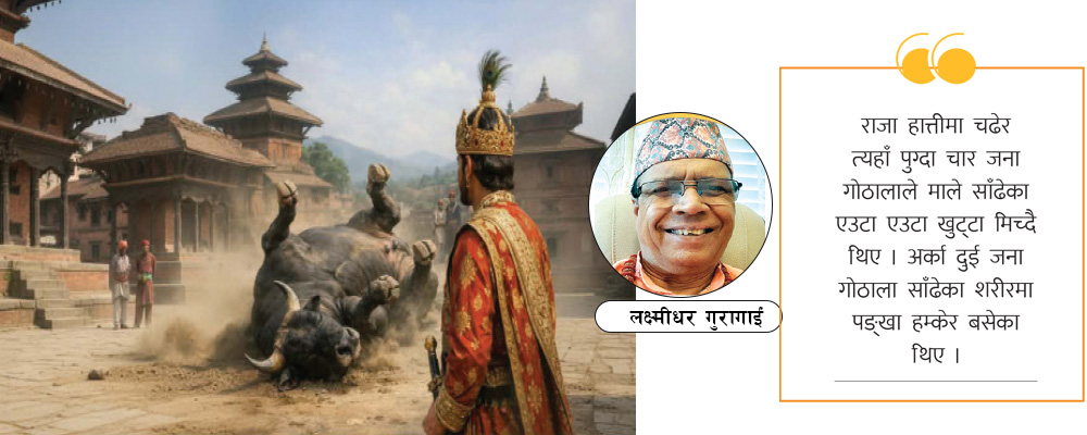 राजाको माले साँढे