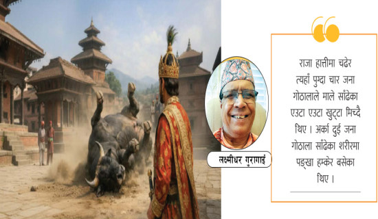 राजाको माले साँढे