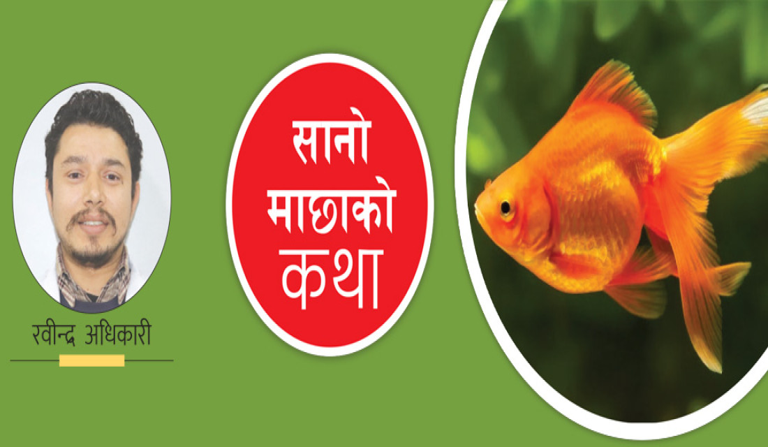 सानो माछाको कथा