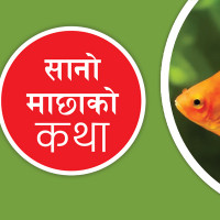 मेसिन विस्फोट  हुँदा एक जनाको मृत्यु, छ घाइते