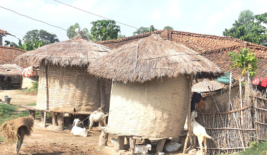 रौतहटको ग्रामीण भेगमा भकारीको प्रयोग अझै यथावत्