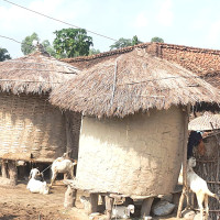मध्यपूर्व द्वन्द्वबिच तेल उत्पादनमा वृद्धि