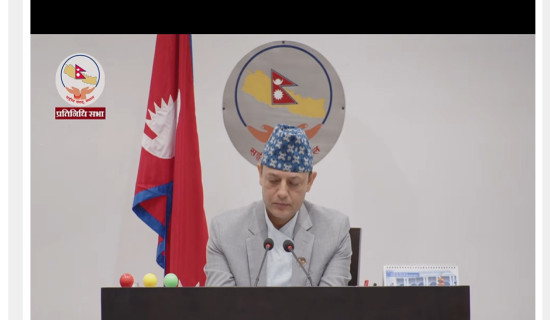 प्रतिनिधिसभा बैठक जारी (प्रत्यक्ष प्रसारण)