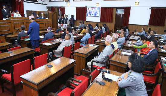 राष्ट्रियसभा बैठक : इन्धन असहजता र बढ्दो महँगीका विषयमा ध्यानाकर्षण