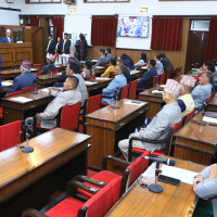 पुँजी बजार सुधार्न तत्काल, मध्यकाल र दीर्घकालमा काम गर्नुपर्ने