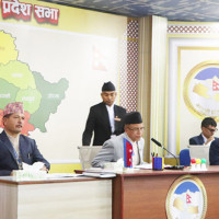 मधेश प्रदेश सरकारको नीति कार्यक्रम सर्वसम्मत पारित