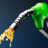 दिगो विकास लक्ष्य : विषयगत प्रश्नोत्तर