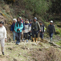 नेपाली जनता कुहिरोको काग बनेर कुद्‍न तयार छैन : प्रधानमन्त्री ओली