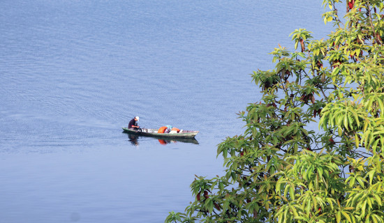 एसइई : छोरा र बाबुसहित तीन जना पक्राउ