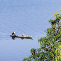 कास्कीकोटमा दही जात्रा