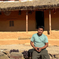 शून्य खनजोत विधिबाट गरिएको मकै खेतीको सफल परीक्षण