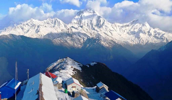 शून्य खनजोत विधिबाट गरिएको मकै खेतीको सफल परीक्षण