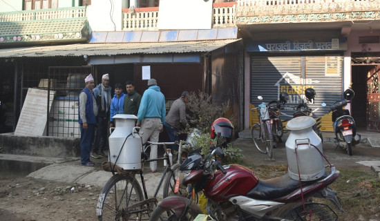 भुक्तानी नपाउँदा सहकारीले डिडिसीलाई दुध बेच्न छाडे