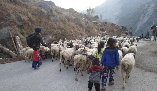 केन्द्रीय प्रसारण लाइन नपुगेको ठाउँमा सौर्य मिनिग्रेट निर्माण हुँदै