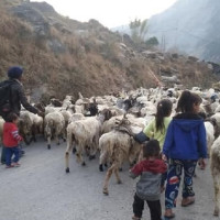 मिसन ग्रासरुट : बृहत् अगुवा कार्यकर्ता प्रशिक्षण कार्यक्रम सर्केगार्डमा हुने