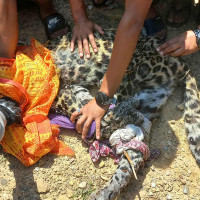 धनुषा १ (ख) प्रदेशसभा सदस्यमा एमालेका मण्डल निर्वाचित