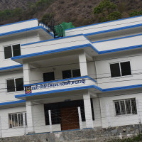 डब्ल्युएचओद्वारा गाजाबाट चिकित्सा निकासी स्थगित