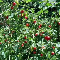 हेटौँडा–काठमाडौँ जोड्ने तीनवटै सडक सञ्चालन