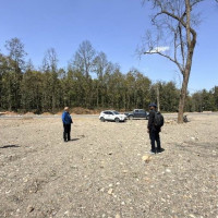 दाउराको विकल्पमा 'गोबर'