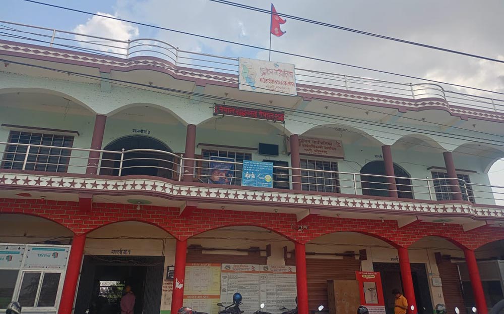 ज्यान मार्ने उद्योगमा गाउँपालिका उपाध्यक्ष पक्राउ