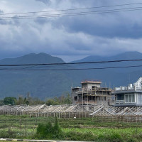 घट्यो फलफूलको कारोबार