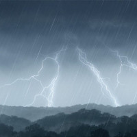 साढे चार लाख बराबरको अवैध चल्ला बरामद