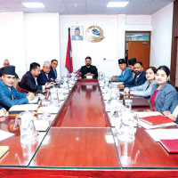 पिङ, चङ्गा उमङ्ग र खुसीको प्रतीक