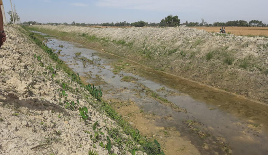 एमसिसीअन्तर्गत बन्ने रातमाटे सबस्टेसनको ठेक्का लाग्यो