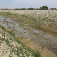 साङ्गठनिक कार्ययोजना परिमार्जनसहित पारित