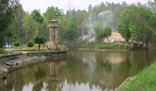 पर्यटकको रोजाइमा तीनकुने पोखरी