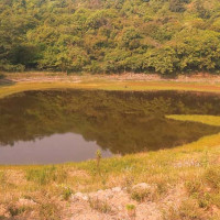 कमसल निर्माण :  उप्कियो गौर–गंगापिपरा–फुलबरिया सडक