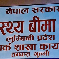 गहुँको मूल्यमा गिरावट ,समर्थन मूल्य तोक्न किसानको आग्रह