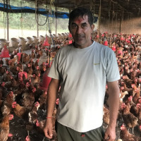 केरामा फेला पर्‍यो ‘पानामा टीआरफोर’ रोग