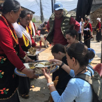 गाजाबाट १७ अमेरिकी डाक्टरको उद्धार