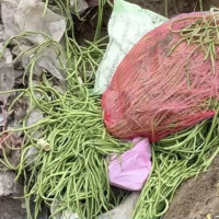 कर्मचारी माग्न काठमाडौँ