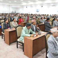 माघेसङ्क्रान्ति : सबैभन्दा बढी भित्रिन्छ घर तरुल