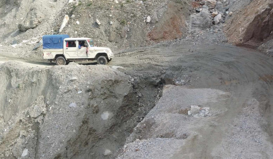 हङकङमा लालीगुराँस एसोसिएसनद्वारा एलजी फेस्ट कार्यक्रम सम्पन्न