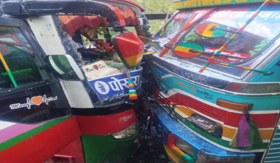 बस र ट्रक ठोक्किँदा १५ जना भारतीय तीर्थयात्री घाइते