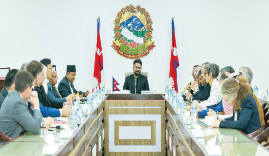 दुई बच्चासहित आमा मृत फेला