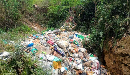 शारदीय दुर्गापूजा बडादसैँ