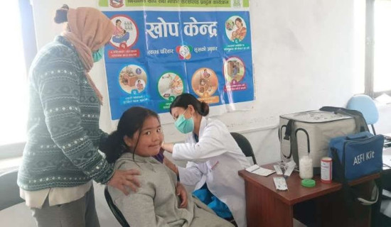 पाँच फर्मलाई जरिवाना